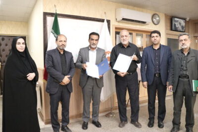 خدمت رضوی