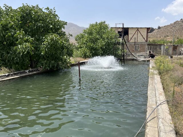 برگزاری