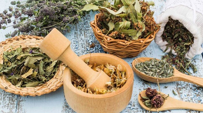 گیاهان دارویی از دیرباز، تاکنون نقش حیاتی در تأمین سلامت، درمان بیماری‌ها و بهبود کیفیت زندگی انسان‌ها ایفا کرده‌اند. این گیاهان به دلیل دارا بودن ترکیبات خاص، پایه اصلی بسیاری از داروهای مدرن امروزی را تشکیل می‌دهند.