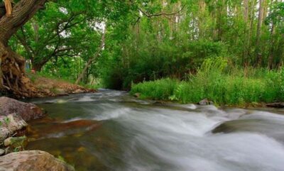 راین؛ تماشاگاه تاریخ در دامن کوه هزار 