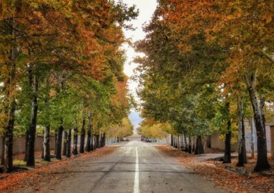 راین؛ تماشاگاه تاریخ در دامن کوه هزار 